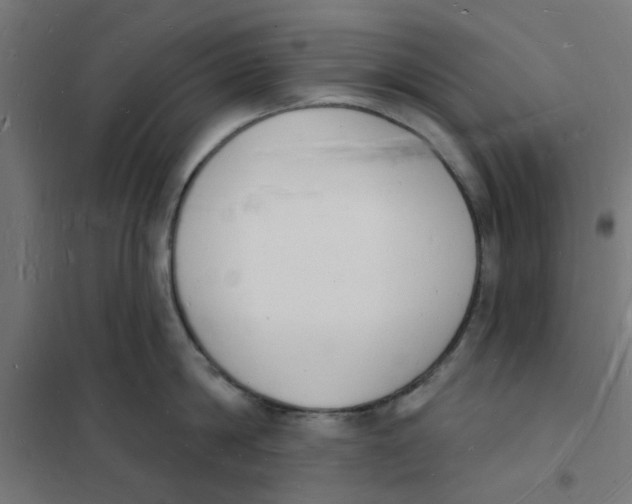 X0000101690814200808071133