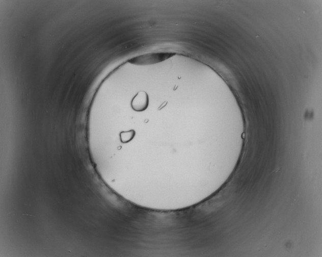 X0000101690816200808071132