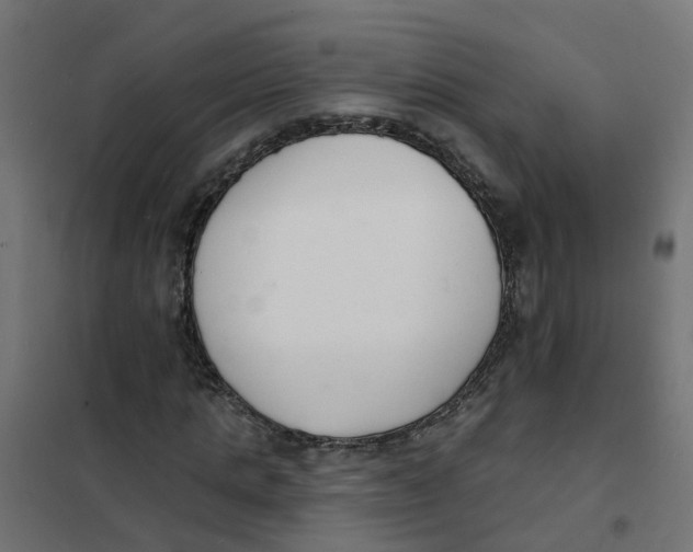 X0000101690821200808071132