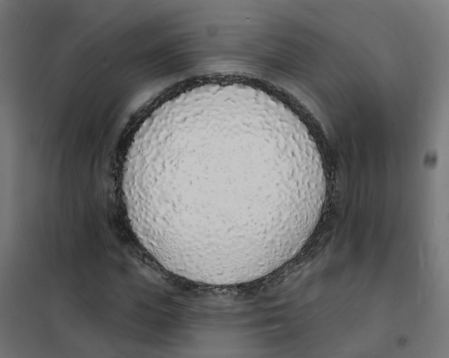 X0000101690823200808071132