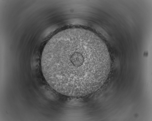 X0000101690824200808071132