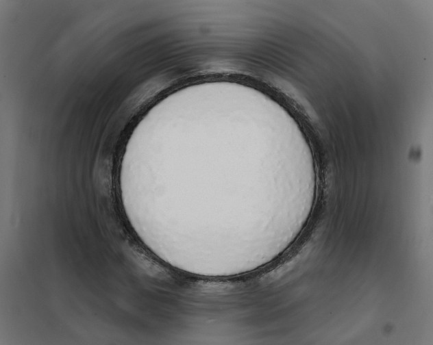 X0000101690825200808071132