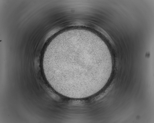 X0000101690826200808071132