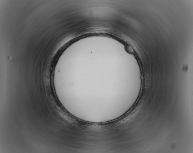 X0000101690827200808071132