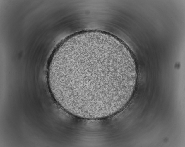 X0000101690832200808071132