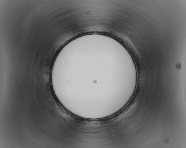 X0000101690833200808071132