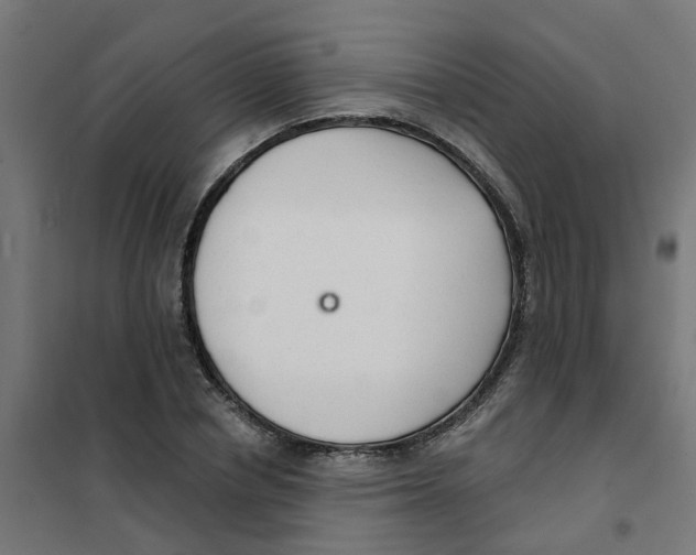 X0000101690834200808071132