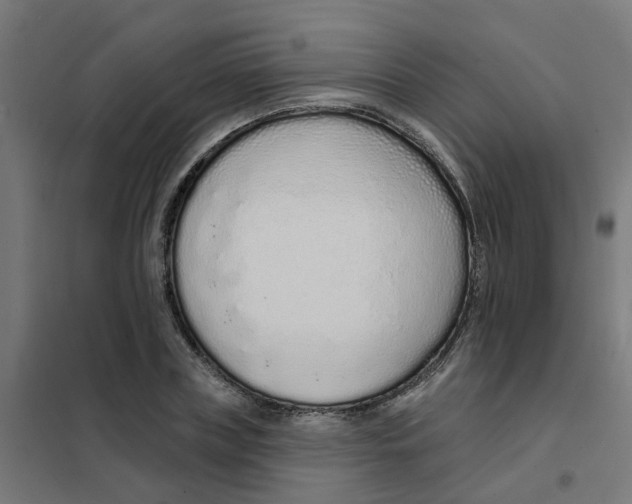 X0000101690835200808071132