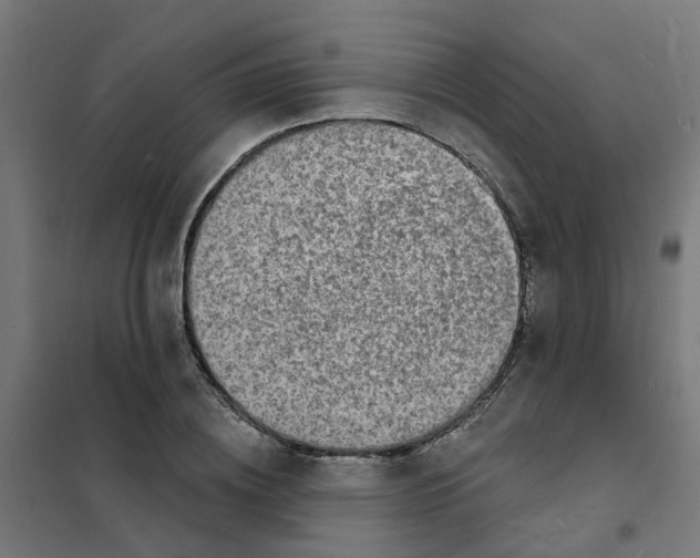 X0000101690836200808071132