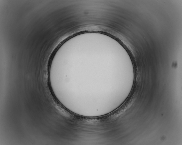 X0000101690837200808071132