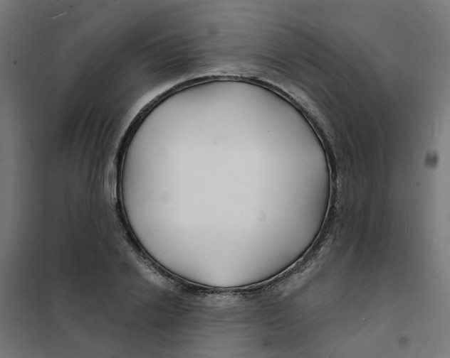 X0000101690838200808071132