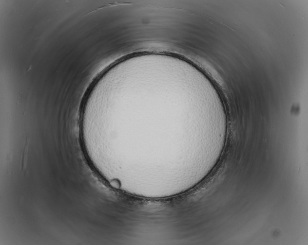 X0000101690839200808071132