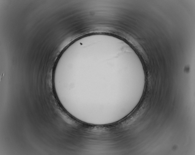 X0000101690842200808071132