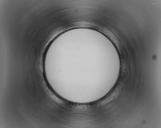 X0000101690843200808071132