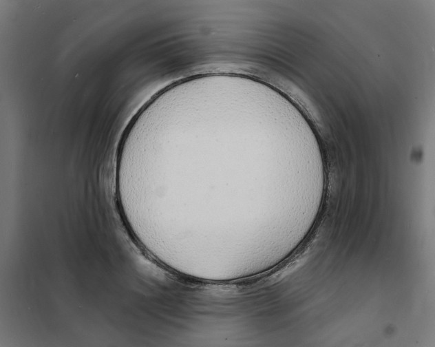 X0000101690844200808071132