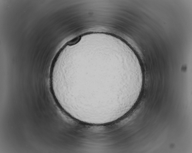 X0000101690845200808071132