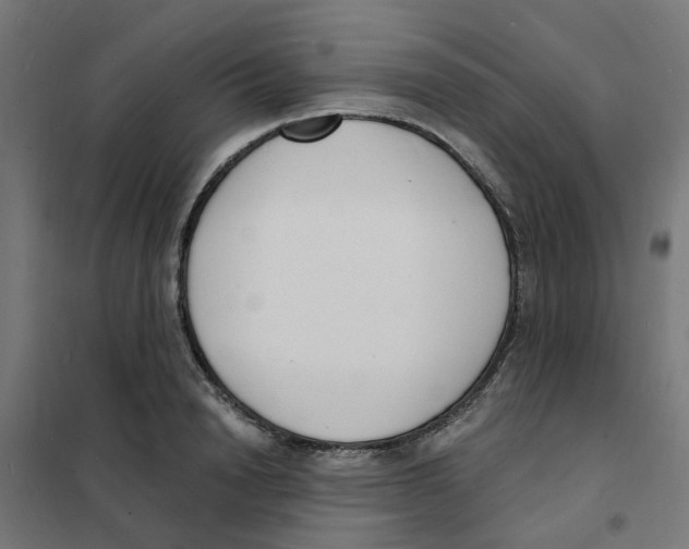 X0000101690846200808071132