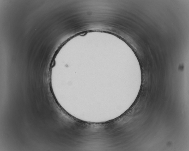 X0000101690848200808071132