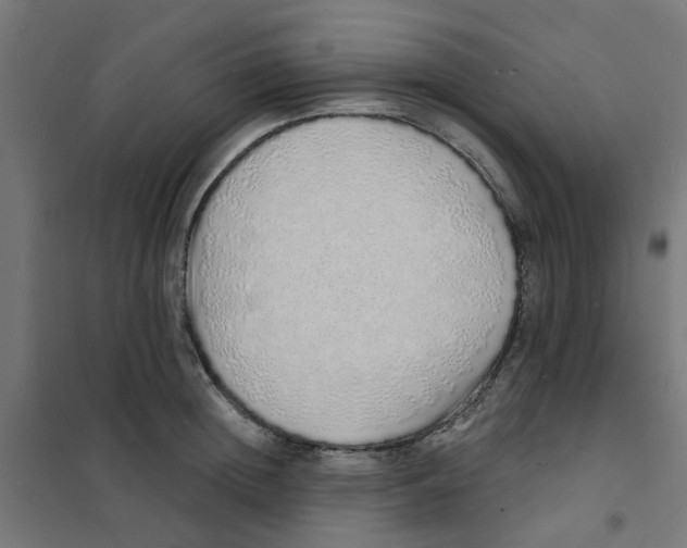 X0000101690852200808071132