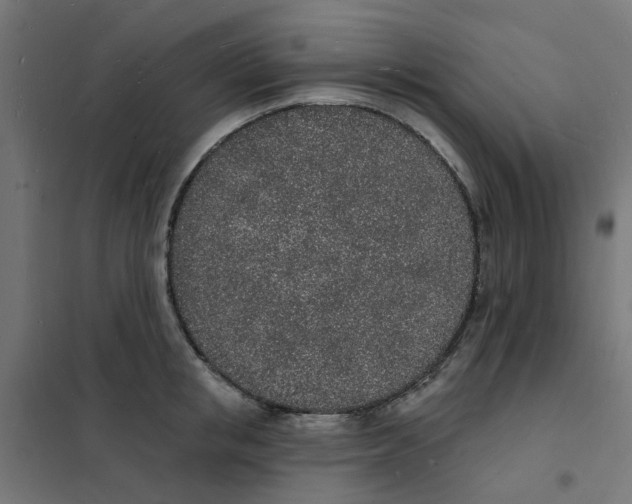 X0000101690853200808071132