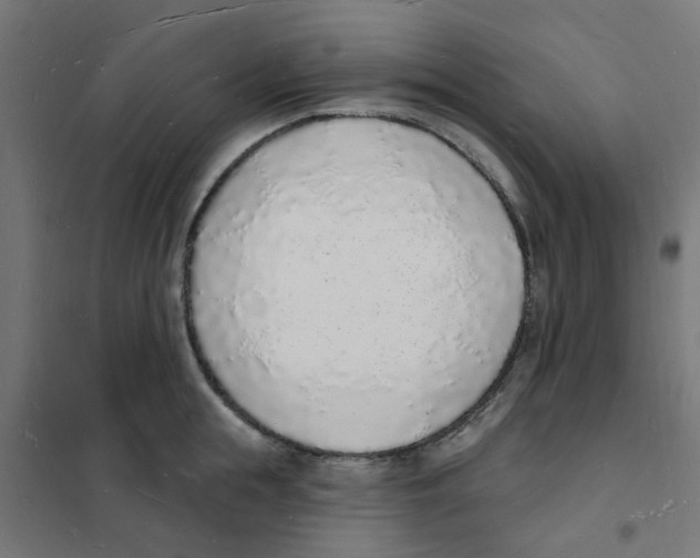 X0000101690855200808071132