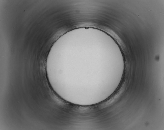 X0000101690857200808071132