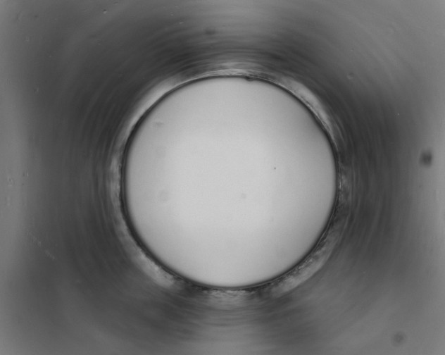 X0000101690859200808071132