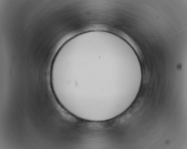 X0000101690861200808071132