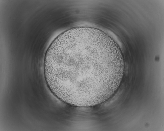 X0000101690863200808071132