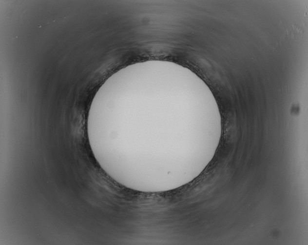 X0000101690866200808071132