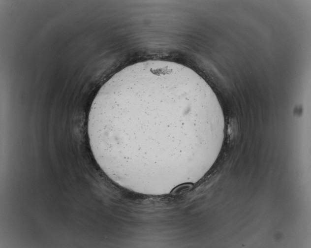 X0000101690867200808071131