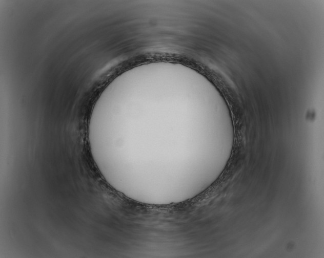 X0000101690870200808071131