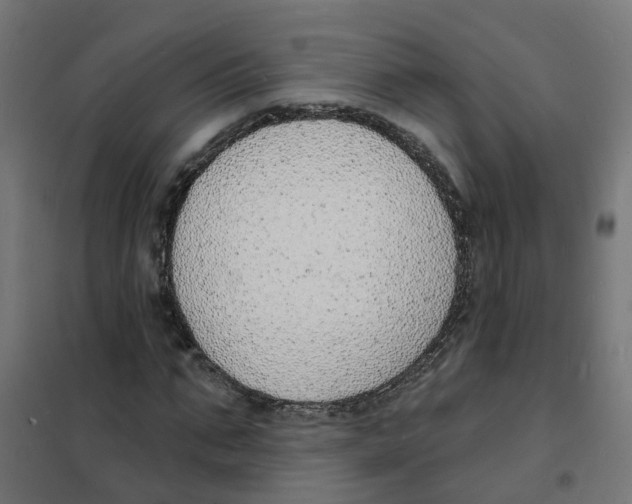 X0000101690871200808071131