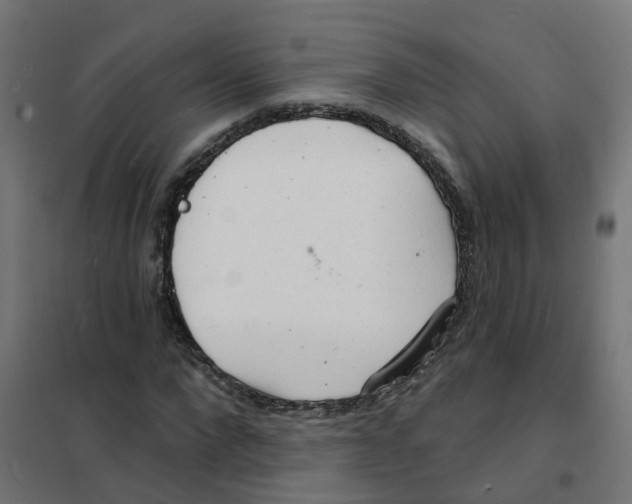 X0000101690872200808071131