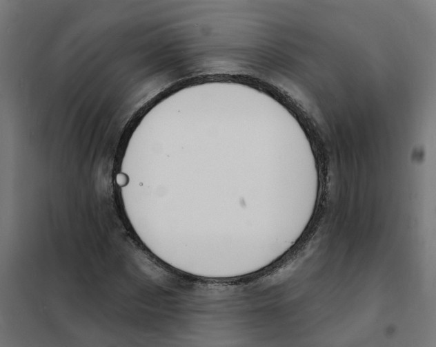 X0000101690873200808071131