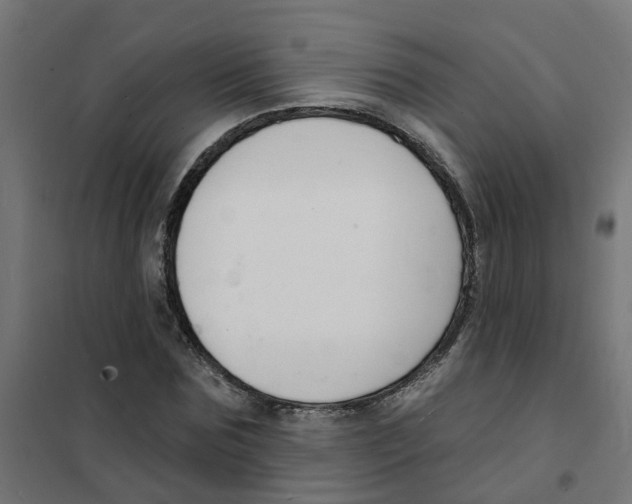 X0000101690875200808071131