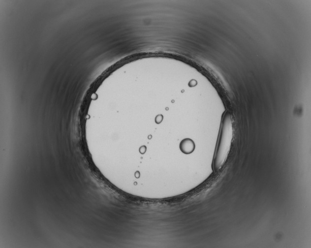 X0000101690876200808071131