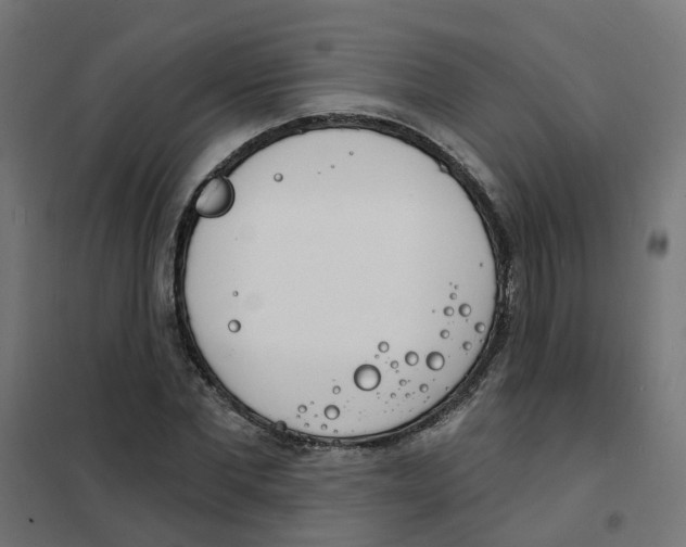 X0000101690877200808071131