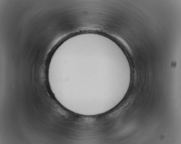 X0000101690878200808071131