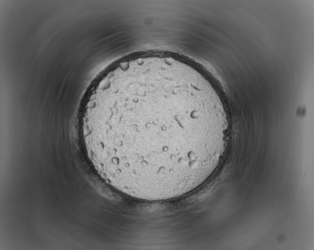 X0000101690879200808071131