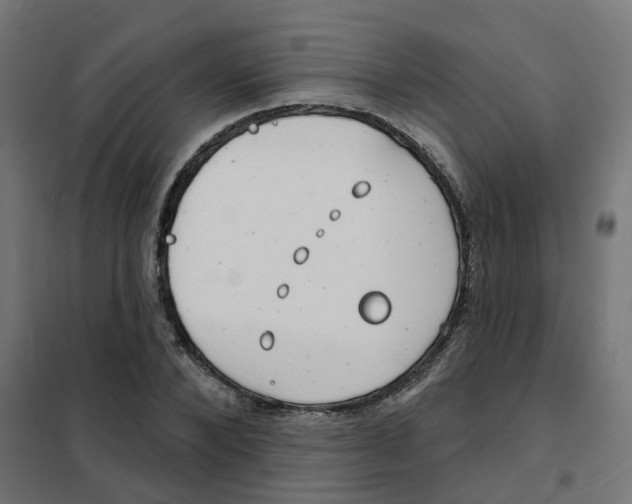 X0000101690880200808071131