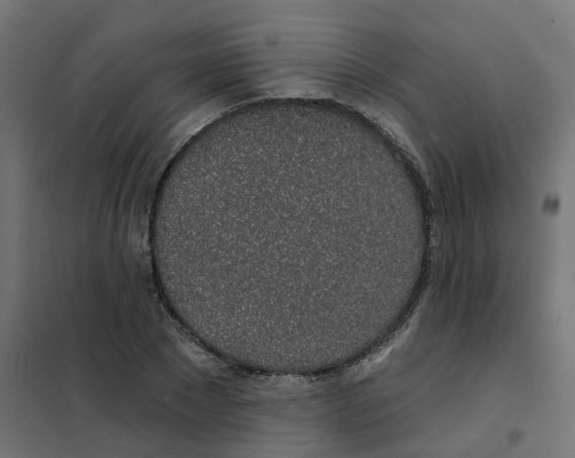 X0000101690881200808071131