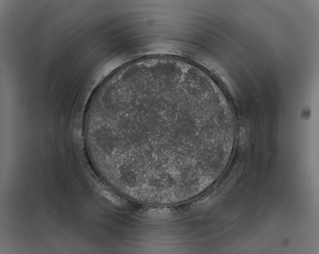 X0000101690882200808071131