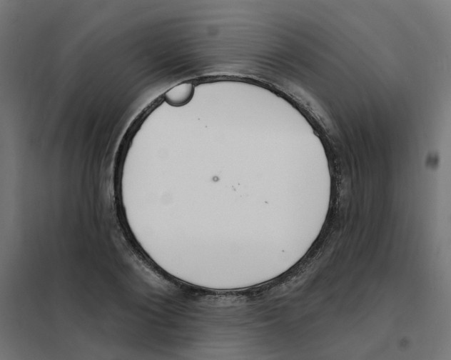 X0000101690884200808071131