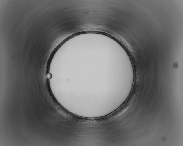 X0000101690885200808071131