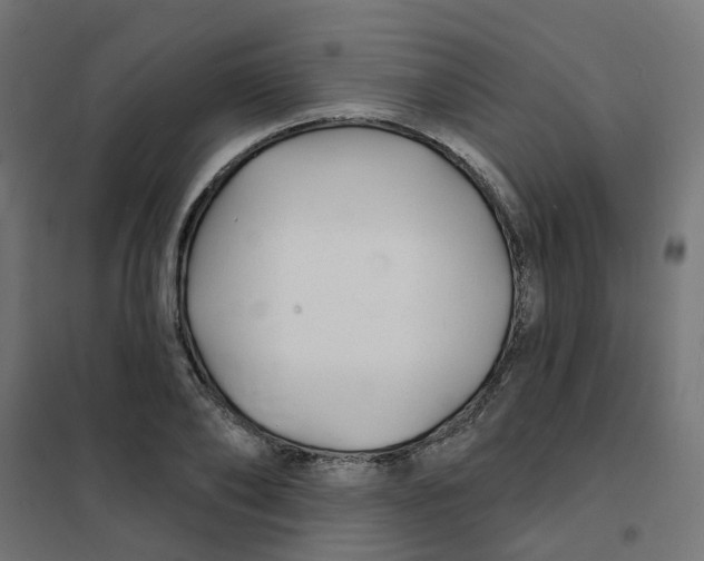 X0000101690886200808071131