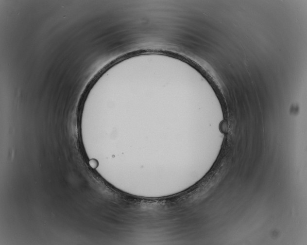 X0000101690887200808071131