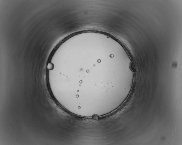 X0000101690888200808071131