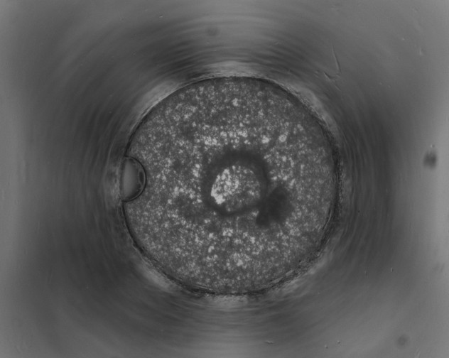 X0000101690889200808071131