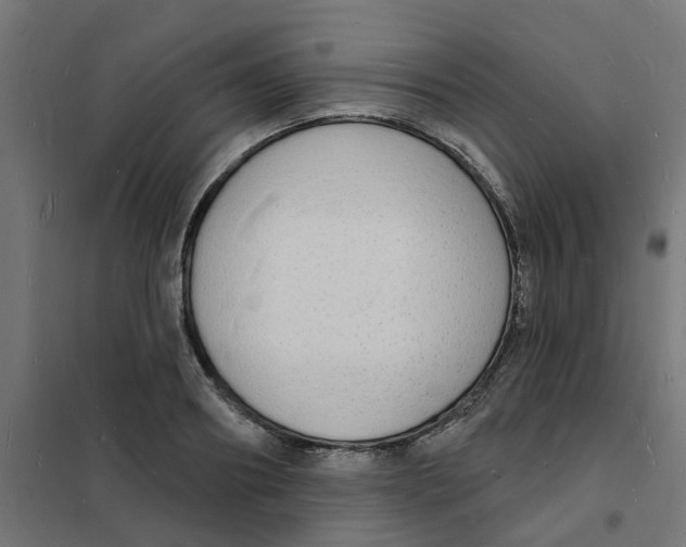 X0000101690890200808071131